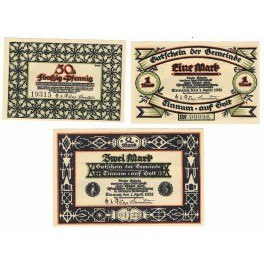 ALEMANIA LOTE 3 NOTGELD 1921 TINNUM